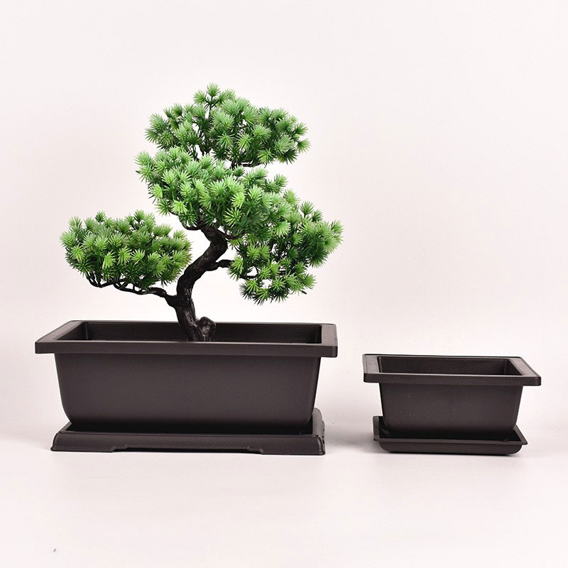 Periuk Bonsai Segi Empat